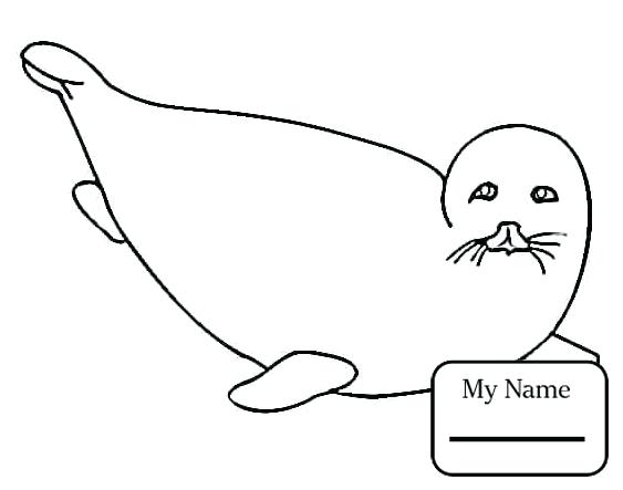563x443 Seal Coloring Pages X Navy Seals Coloring Sheets