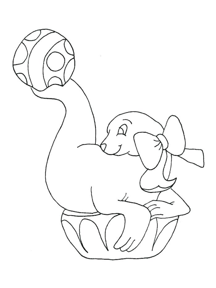 700x933 Seals Coloring Pages