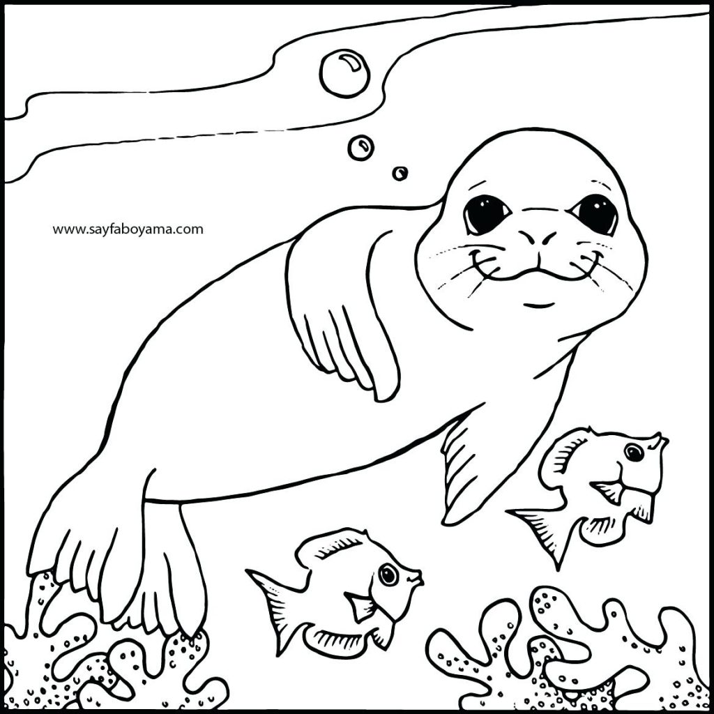 1024x1024 Coloring Page Seal Coloring Page Arctic Seal Coloring Page Free