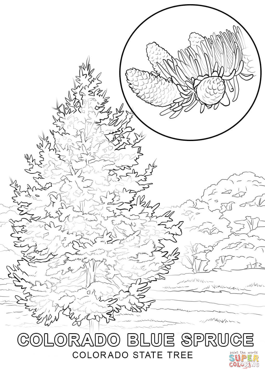 1020x1440 Impressive Delaware State Flag Coloring Page States Pages Colorado