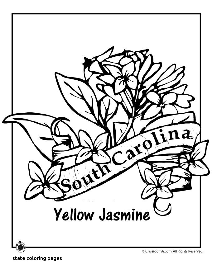 680x880 North Carolina State Symbol Coloring Page