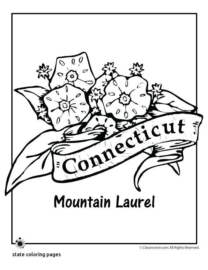 680x880 North Carolina State Symbols Coloring Pages Best And Embroidery