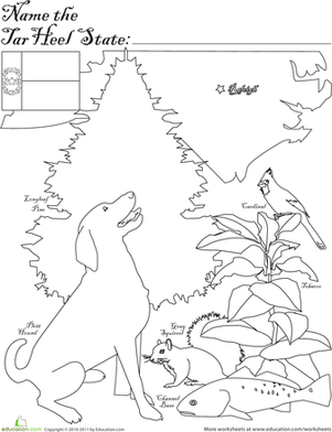 301x392 Tar Heel State Worksheet