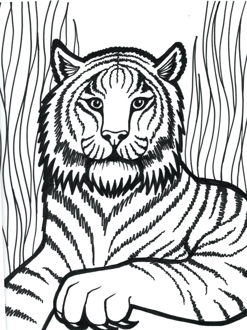 1000x1333 Coloring Pages Daniel Tiger Coloring Pages Pictures Google