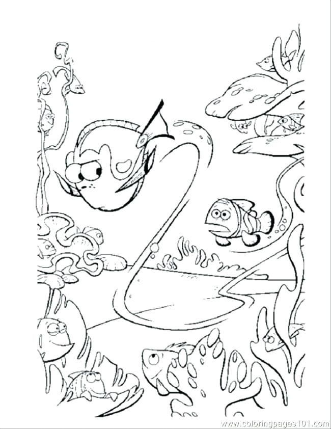 650x842 Nemo And Dory Coloring Pages Printable Coloring Pages Coloring