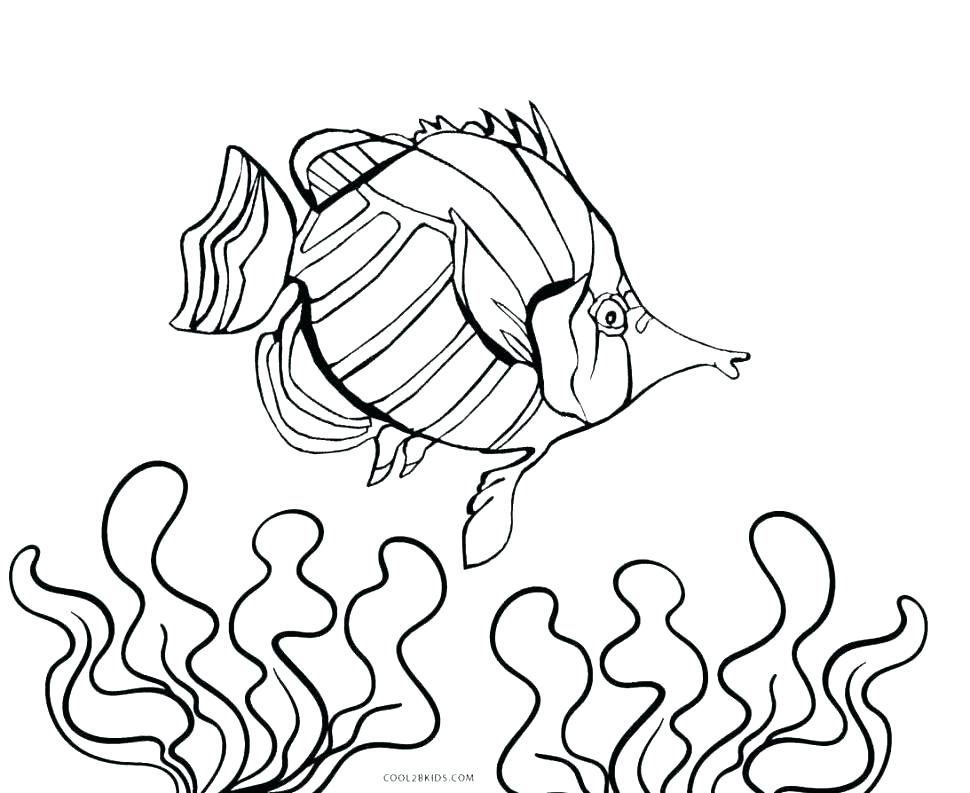 970x793 Nemo Fish Coloring Pages Coloring Pages Coloring Pages Coloring