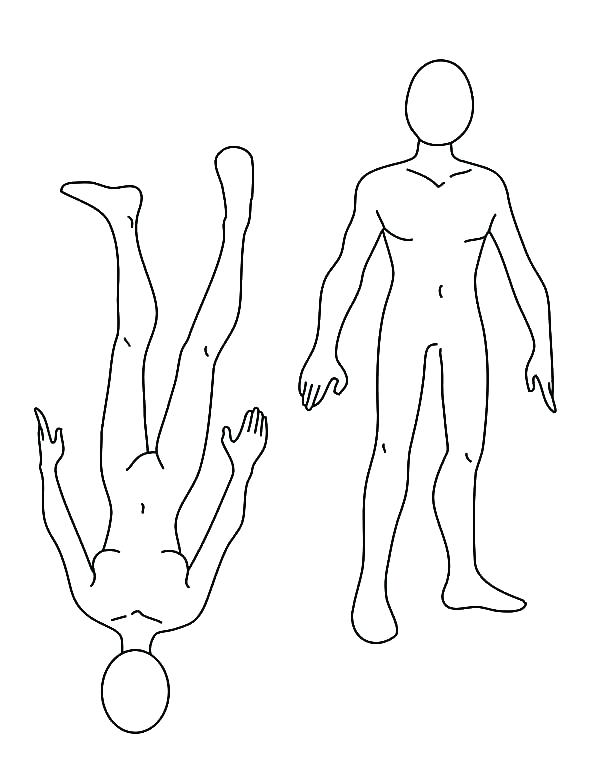 600x776 Body Systems Coloring Pages Nervous System Coloring Worksheet