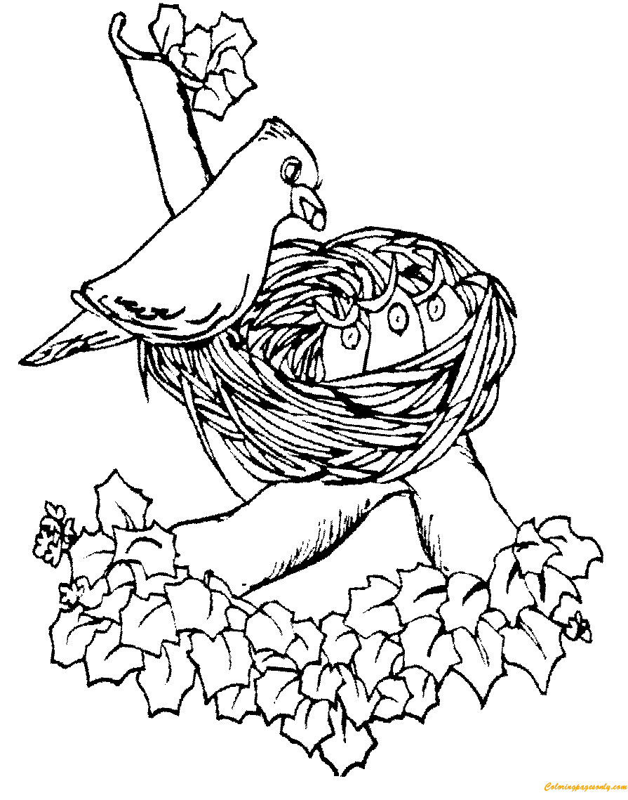895x1139 Mother Bird Feeding Cute Baby In The Nest Coloring Page