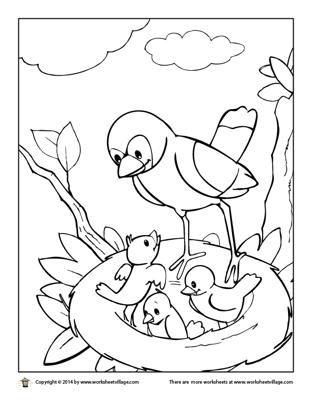 612x792 Birds In A Nest Coloring Page