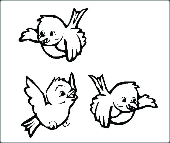 576x486 Baby Bird Coloring Pages Big Bird Coloring Pages Baby Bird