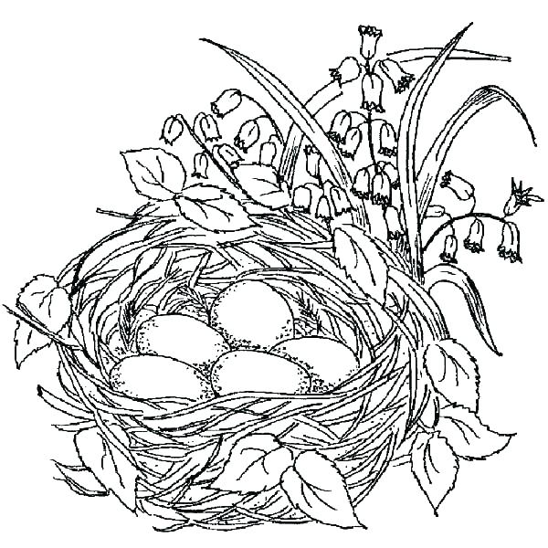 600x600 Bird Coloring Page Bird Coloring Page Coloring Pages Bird Coloring