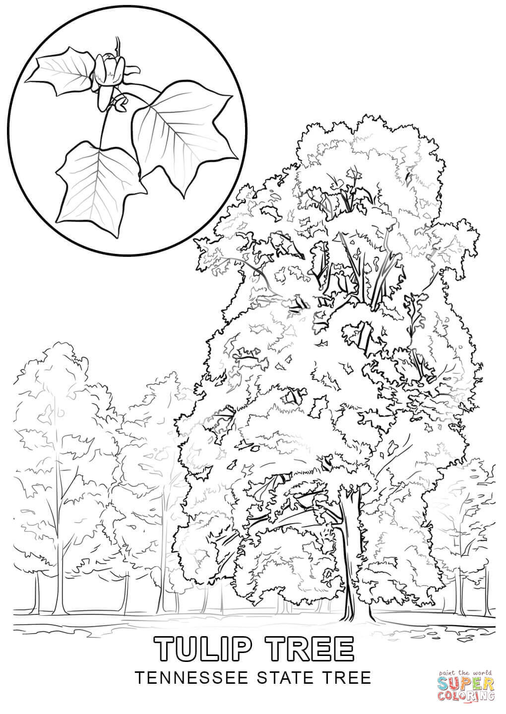 1020x1440 Love Tennessee State Coloring Pages Nevada Tree Page Free