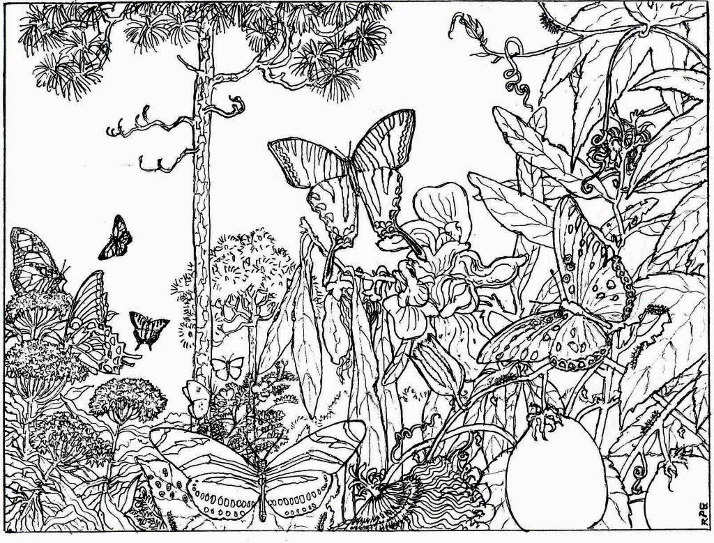 1024x779 Coloring Pages Coloring Pages For Adults Nature