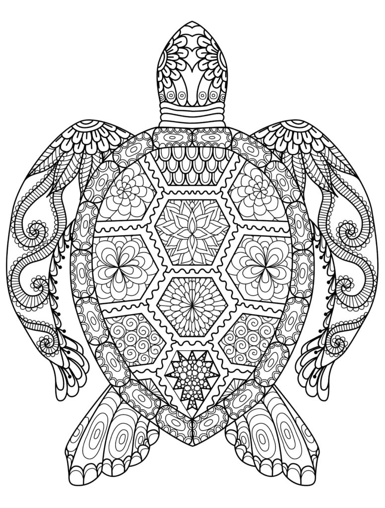 776x1024 Free Zentangle Printables Gorgeous Printable Adult Coloring