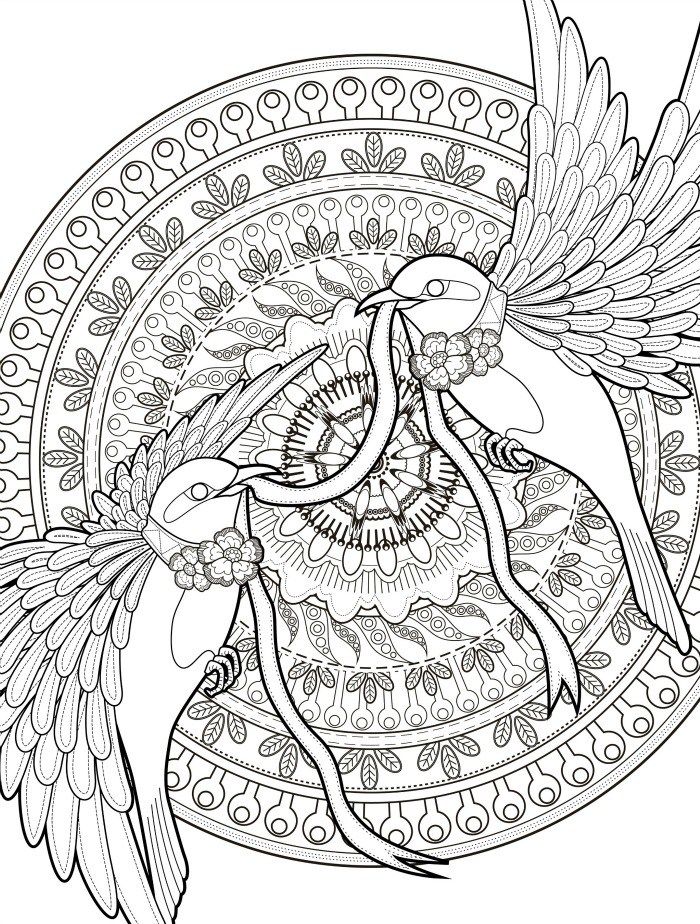 700x924 Adult Coloring Pages With Birds Free Downloadable Web