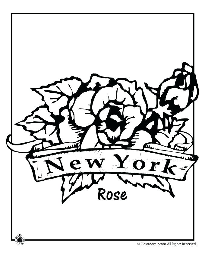 680x880 State Flower Coloring Pages
