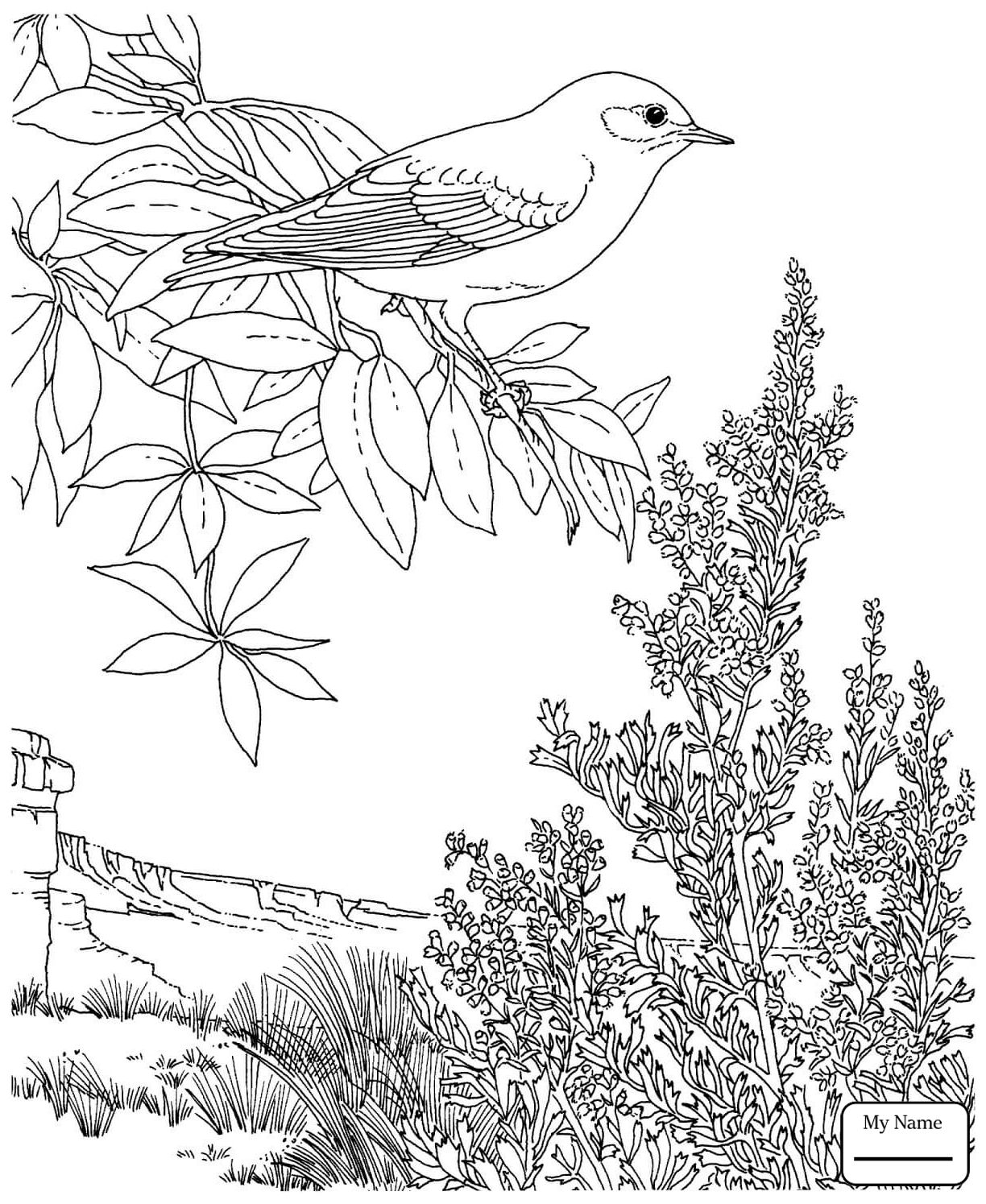 1224x1495 Stunning Coloring New Hampshire Purple Finch And Lilac Birds Pict