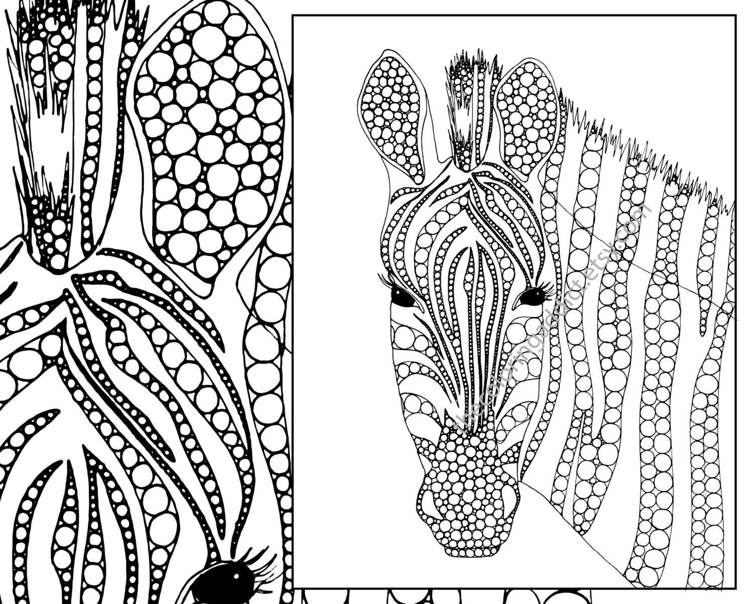 1500x1203 Zebra Adult Coloring Pages Printable Coloring For Kids