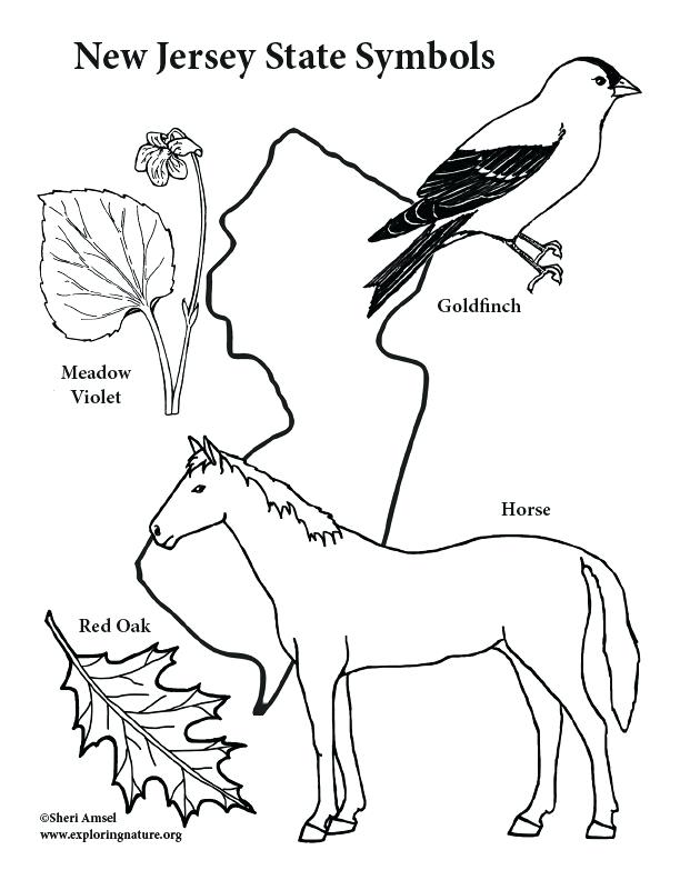 612x792 Nj State Symbols Coloring Pages New Jersey Page
