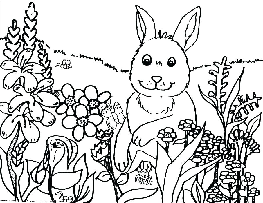 906x700 New Mexico Coloring Pages New Colori Pages Pages Rabbit