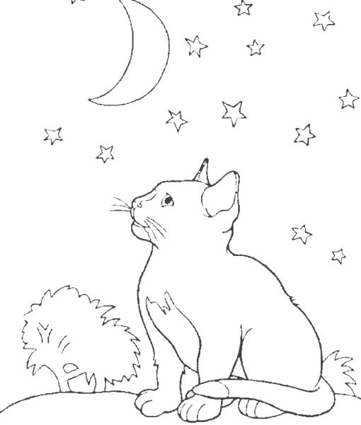 510x601 Moon Coloring Pages To Download And Print For Free Moon Coloring