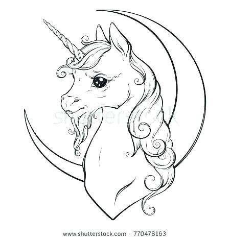 450x470 Unicorn Color Pages Unicorn Pictures To Color Fairy And Unicorn