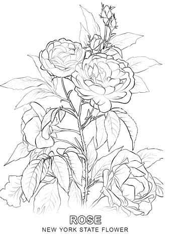 340x480 New York Coloring Pages New City Coloring Pages New City Coloring