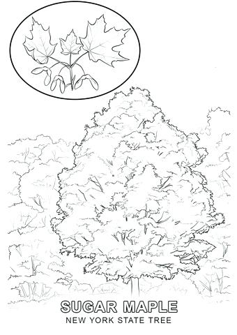 340x480 New York Coloring Pages New City Skyline Coloring Pages New York