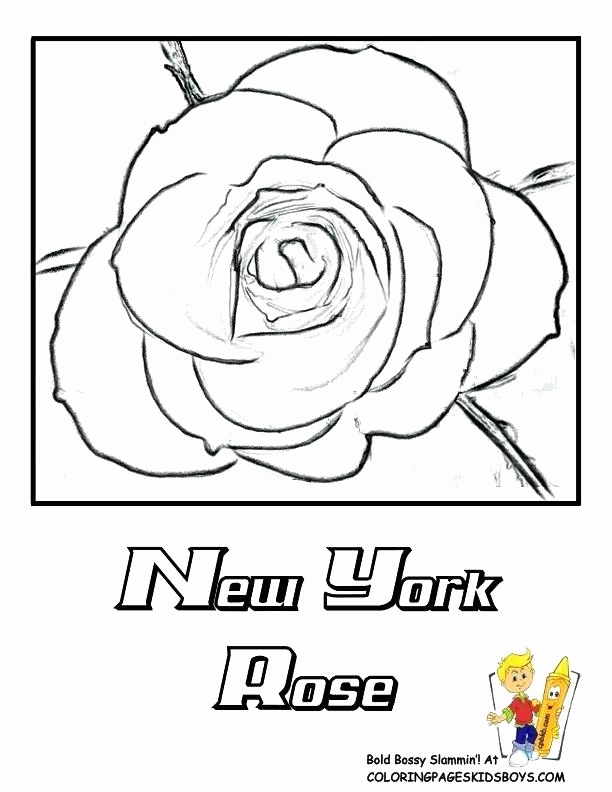 612x792 New York Coloring Pages Printable Pictures New York Coloring Pages