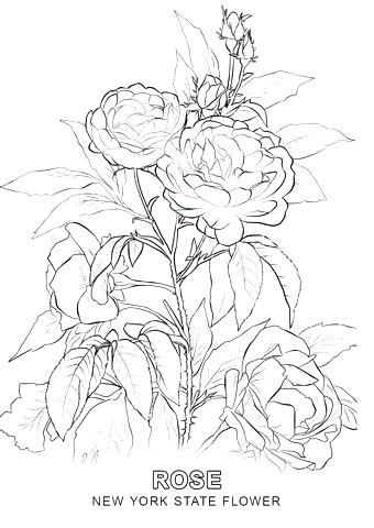 340x480 New York Coloring Pages New Jets Coloring Pages Click The New