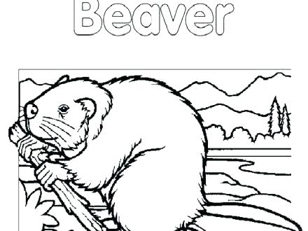 440x330 New York State Tree Coloring Page Pages Pics Of Logo City Flower