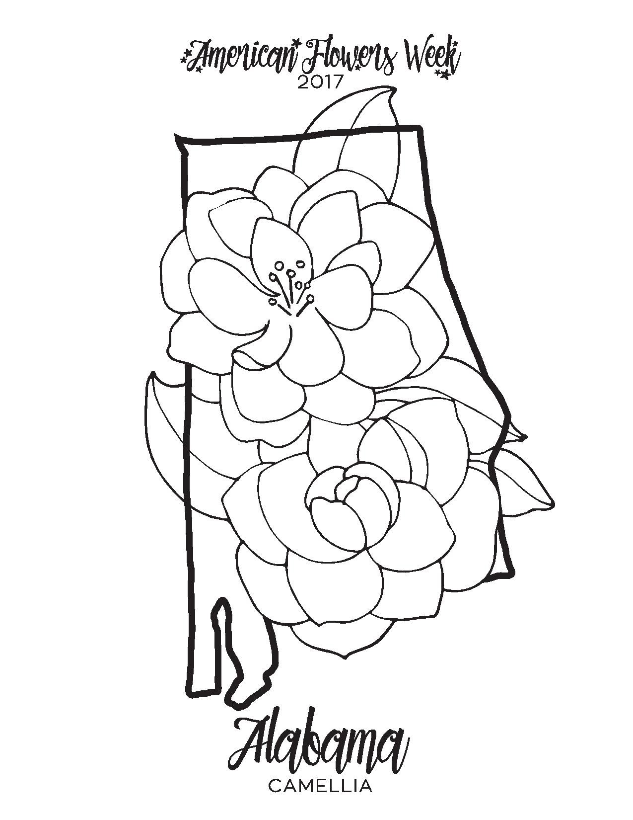 1275x1650 Alaska State Flag Coloring Page Unique New York State Flag