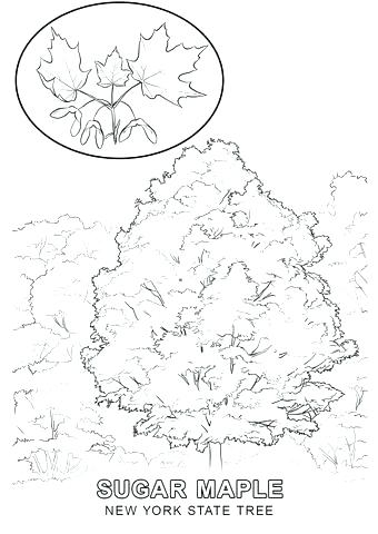 340x480 New York State Flag Coloring Page New State Flag Seal Coloring