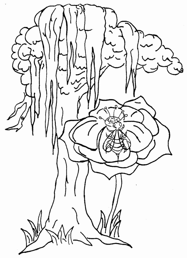 638x878 Coloring Pages Of Trees And Flowers Beautiful New York State Flag