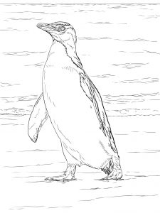 225x300 Pictures Of New Zealand Coloring Pages