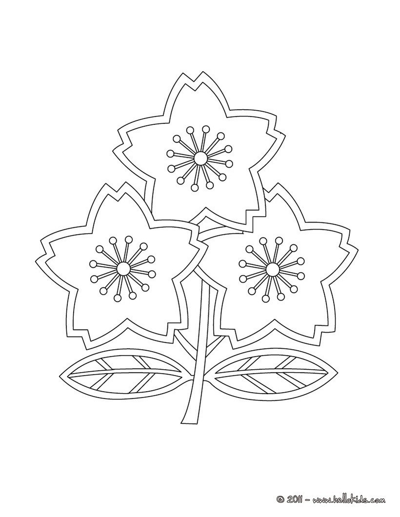 820x1060 Flag Of New Zealand Coloring Page