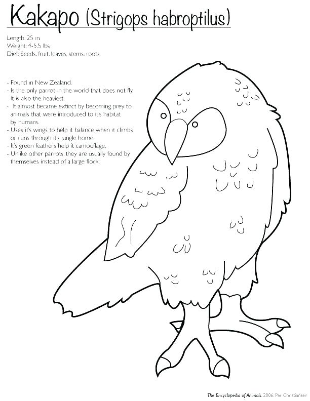 612x792 New Zealand Coloring Pages Doodle Coloring Page Printable Cute