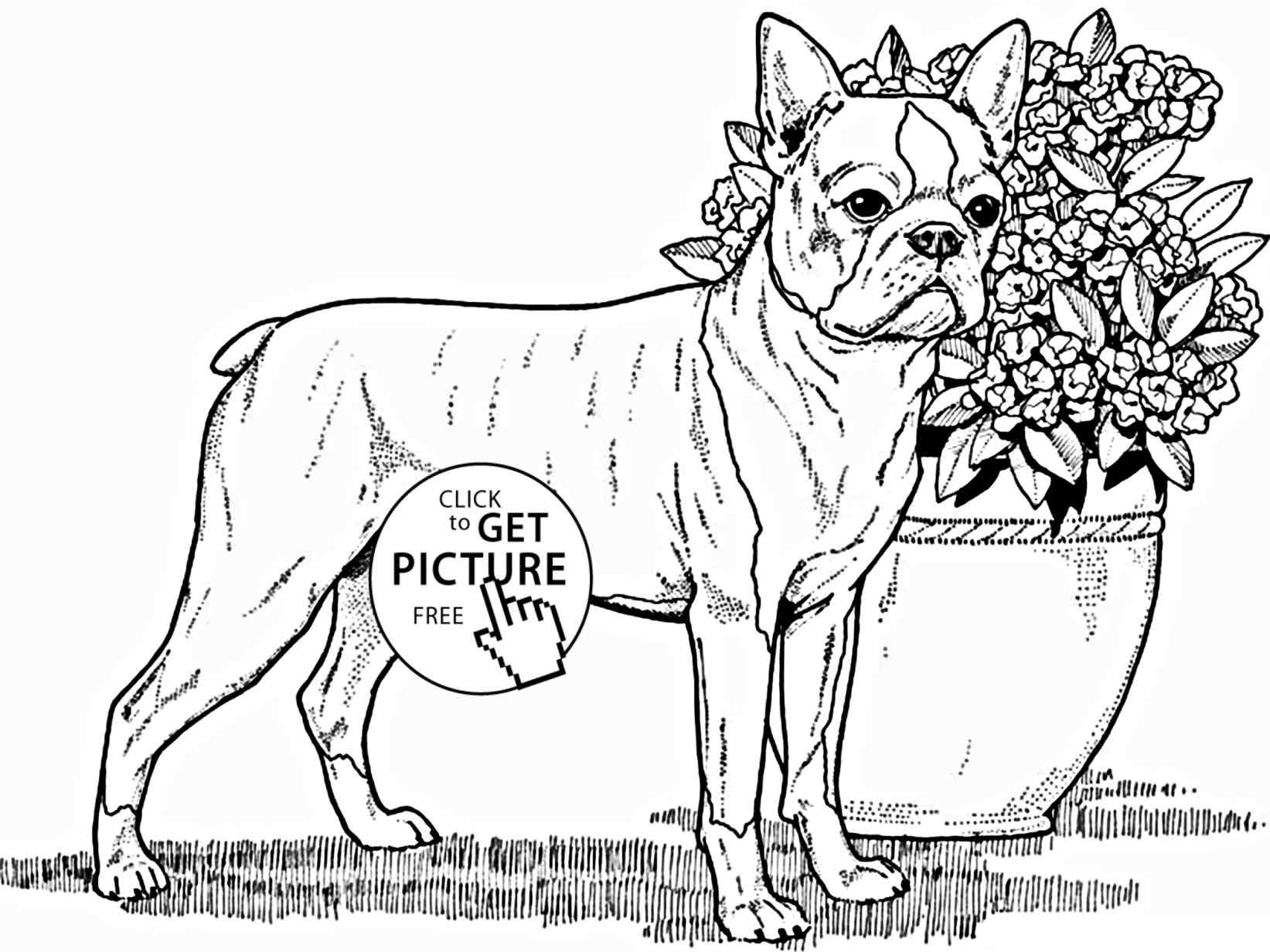 1643x1232 Dog Coloring Sheets For Adults Online Coloring Printable