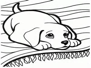 300x225 Newfoundland Dog Coloring Page, Dog Pages