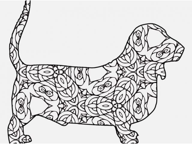 640x480 Pitbull Coloring Pages Photo Free Coloring Pages A Geometric