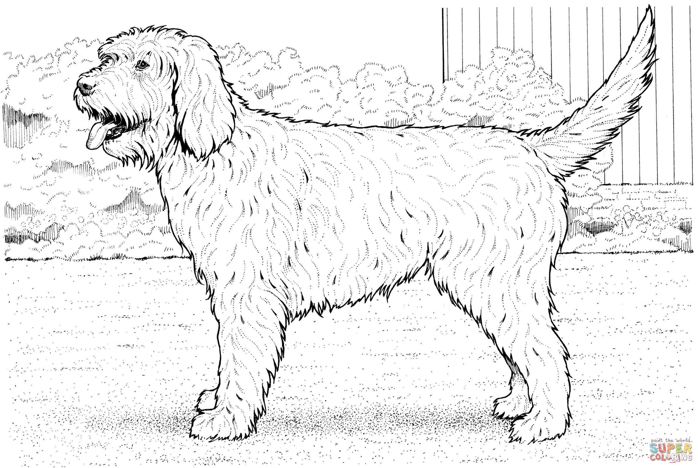 2373x1592 Realistic Boxer Dog Coloring Pages Online Coloring Printable
