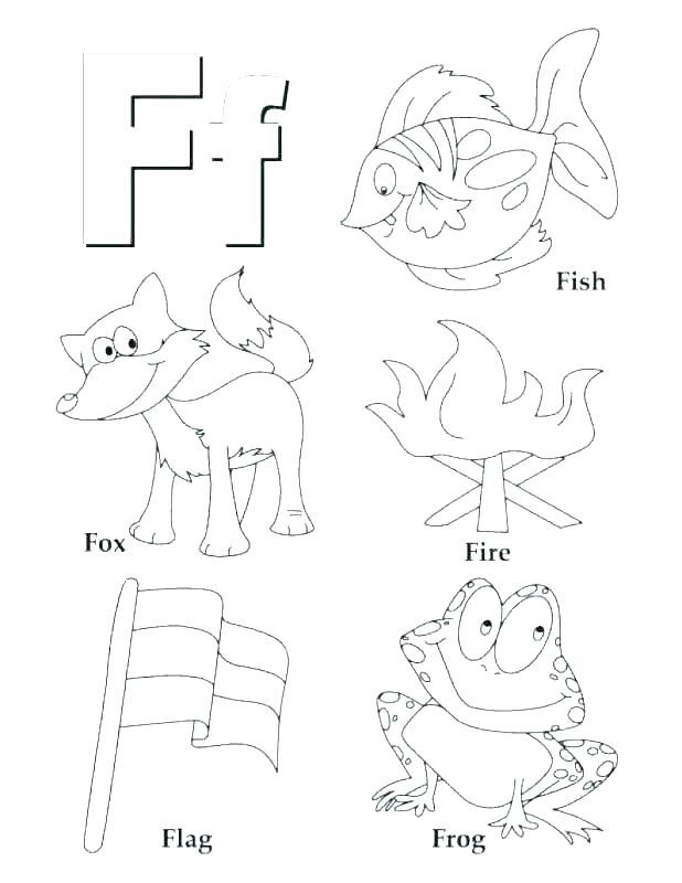 618x800 Newt Coloring Page Newt Coloring Page Coloring Pages Animals Free