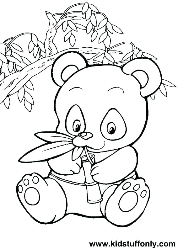 567x794 Newt Coloring Page Newt Coloring Page Newt Coloring Page Newt
