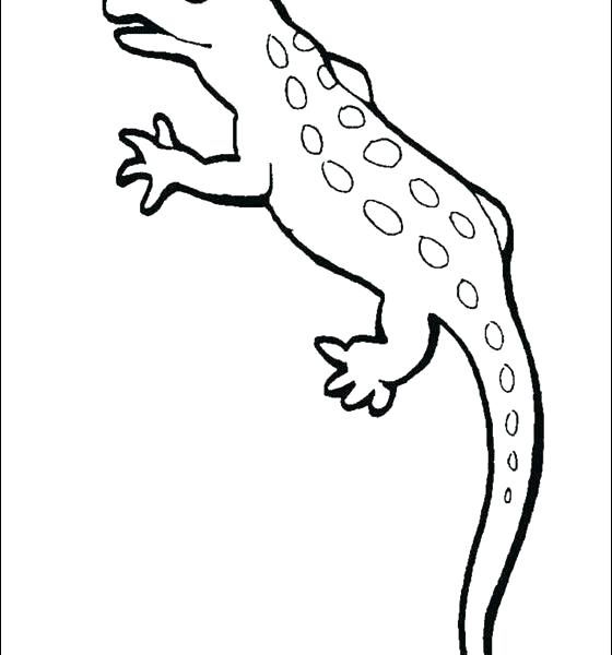 Newt Coloring Page at GetDrawings | Free download