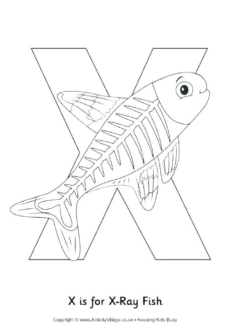 460x654 Newt Coloring Page