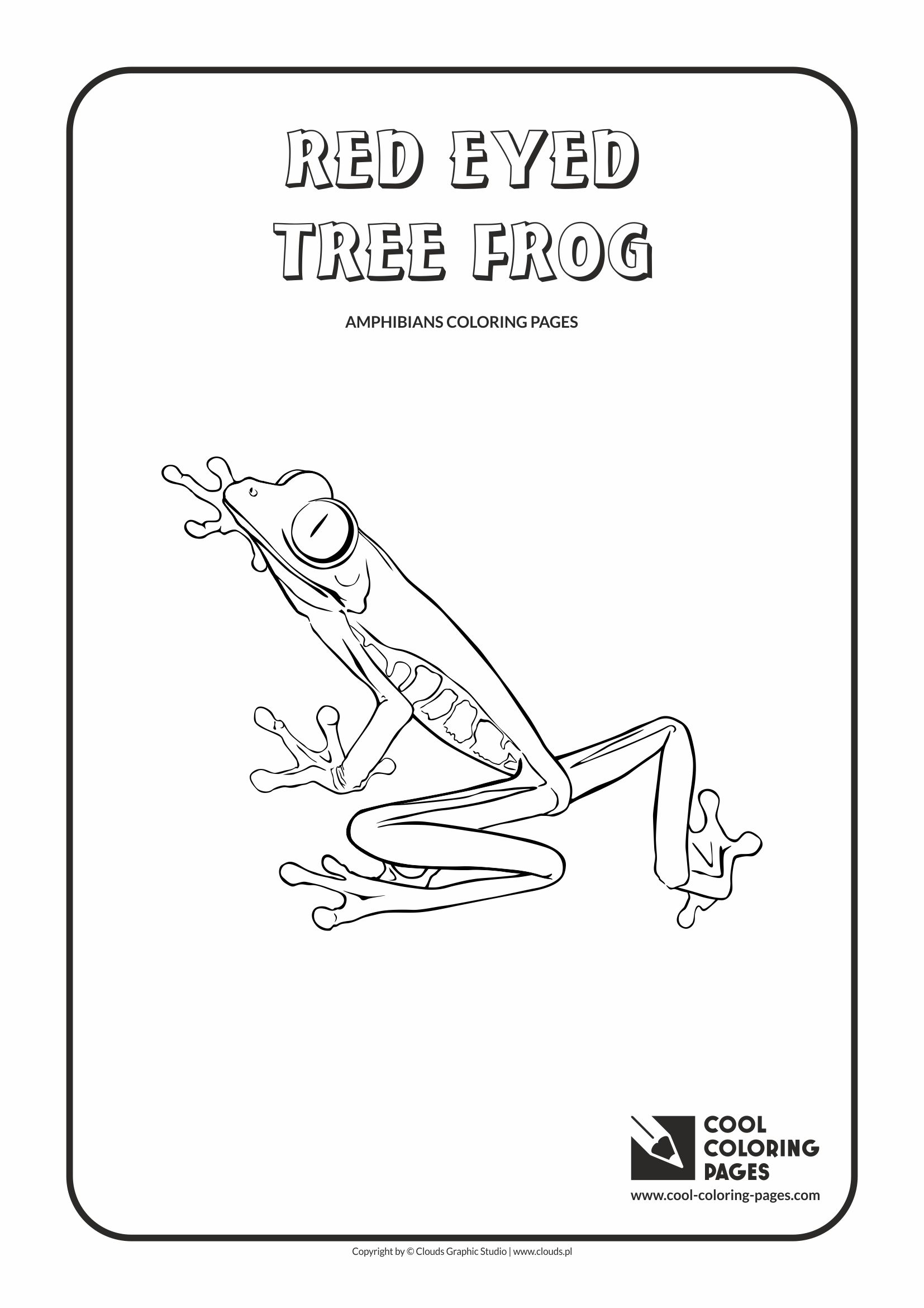 1654x2339 Cool Coloring Pages Amphibians And Reptiles Coloring Pages