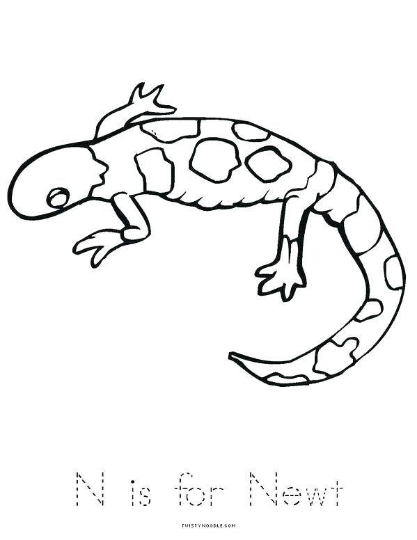 599x776 Lizard Coloring Pages Cartoon Lizard Coloring Pages Newt Coloring