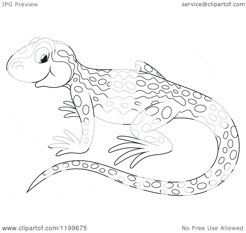 863x818 Newt Animal Coloring Pages Coloring Pages Pin Newt Black And White