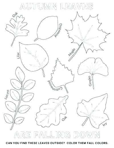 400x518 Coloring Page Fall Coloring Page Fall Tree