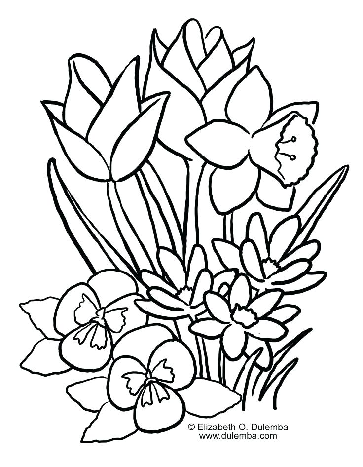 736x946 Cute Flower Coloring Pages Cute Flower Coloring Pages Spring